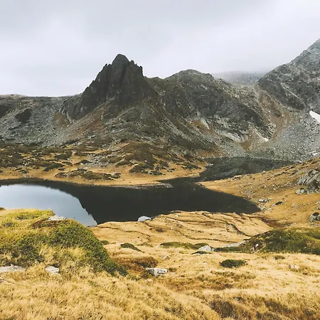 Apartment Vip House Glavatarski Glavatartsi