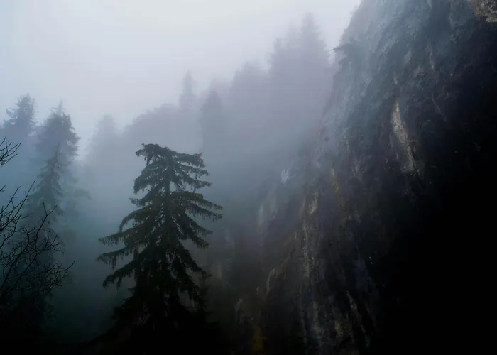 Apartment Vip House Glavatarski Glavatartsi